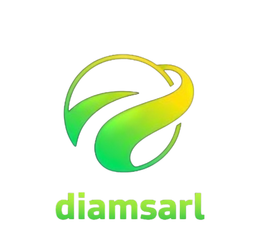 Logo de DiamSarl